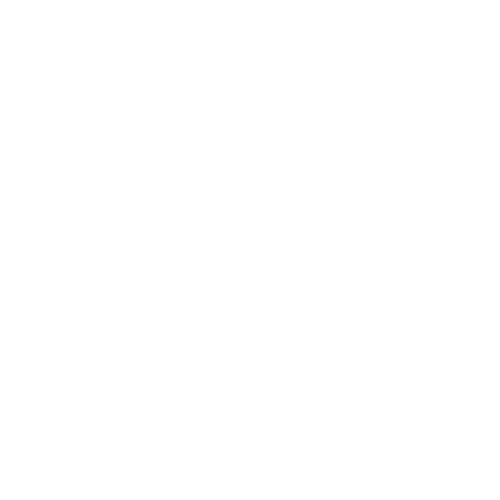 Model Context Protocol